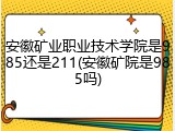 安徽矿业职业技术学院是985还是211(安徽矿院是985吗)
