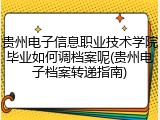 贵州电子信息职业技术学院毕业如何调档案呢(贵州电子档案转递指南)