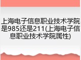 上海电子信息职业技术学院是985还是211(上海电子信息职业技术学院属性)