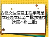 安徽文达信息工程学院是一本还是本科第二批(安徽文达属本科二批)