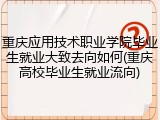 重庆应用技术职业学院毕业生就业大致去向如何(重庆高校毕业生就业流向)