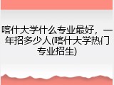 喀什大学什么专业最好，一年招多少人(喀什大学热门专业招生)