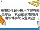 海南软件职业技术学院有哪些专业，就业前景如何(海南软件学院专业就业)