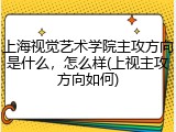 上海视觉艺术学院主攻方向是什么，怎么样(上视主攻方向如何)