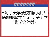 石河子大学就读期间可以申请哪些奖学金(石河子大学奖学金种类)