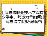 上海思博职业技术学院有多少学生，师资力量如何(上海思博学院规模师资)