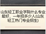 山东轻工职业学院什么专业最好，一年招多少人(山东轻工热门专业招生)