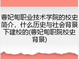 曹妃甸职业技术学院的校史简介，什么历史与社会背景下建校的(曹妃甸职院校史背景)