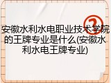 安徽水利水电职业技术学院的王牌专业是什么(安徽水利水电王牌专业)