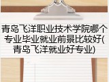 青岛飞洋职业技术学院哪个专业毕业就业前景比较好(青岛飞洋就业好专业)
