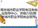 南京城市职业学院有没有就业指导中心，详细介绍(南京城市职业学院就业指导)