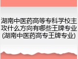 湖南中医药高等专科学校主攻什么方向有哪些王牌专业(湖南中医药高专王牌专业)