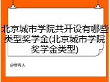 北京城市学院共开设有哪些类型奖学金(北京城市学院奖学金类型)