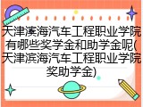 天津滨海汽车工程职业学院有哪些奖学金和助学金呢(天津滨海汽车工程职业学院奖助学金)