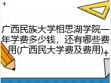 广西民族大学相思湖学院一年学费多少钱，还有哪些费用(广西民大学费及费用)