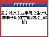 遂宁能源职业学院招生计划详细分析(遂宁能源招生解析)