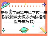 梧州医学高等专科学校一年财政拨款大概多少钱(梧州医专年拨款)