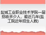 盐城工业职业技术学院一届招收多少人，最近几年(盐工院近年招生人数)