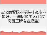 武汉商贸职业学院什么专业最好，一年招多少人(武汉商贸王牌专业招生)