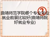 曲靖师范学院哪个专业毕业就业前景比较好(曲靖师院好就业专业)