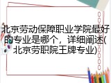 北京劳动保障职业学院最好的专业是哪个，详细阐述(北京劳职院王牌专业)