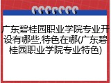 广东碧桂园职业学院专业开设有哪些,特色在哪(广东碧桂园职业学院专业特色)
