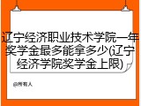 辽宁经济职业技术学院一年奖学金最多能拿多少(辽宁经济学院奖学金上限)