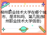 柳州职业技术大学在哪个城市，是本科吗，第几批(柳州职业技术大学信息)