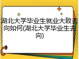 湖北大学毕业生就业大致去向如何(湖北大学毕业生去向)