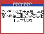 辽宁石油化工大学是一本还是本科第二批(辽宁石油化工大学批次)