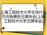 上海工程技术大学主攻什么方向有哪些王牌专业(上海工程技术大学王牌专业)