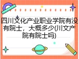四川文化产业职业学院有没有院士，大概多少(川文产院有院士吗)