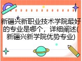 新疆兴新职业技术学院最好的专业是哪个，详细阐述(新疆兴新学院优势专业)