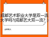 成都艺术职业大学是双一流大学吗?(成都艺大双一流？)