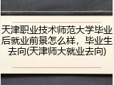 天津职业技术师范大学毕业后就业前景怎么样，毕业生去向(天津师大就业去向)