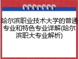 哈尔滨职业技术大学的普通专业和特色专业详解(哈尔滨职大专业解析)