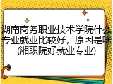 湖南商务职业技术学院什么专业就业比较好，原因是啥(湘职院好就业专业)