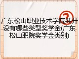 广东松山职业技术学院共开设有哪些类型奖学金(广东松山职院奖学金类别)