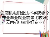 云南机电职业技术学院哪个专业毕业就业前景比较好(云南机电就业好专业)