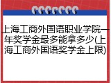 上海工商外国语职业学院一年奖学金最多能拿多少(上海工商外国语奖学金上限)
