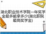 湖北职业技术学院一年奖学金最多能拿多少(湖北职院最高奖学金)