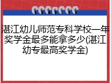 湛江幼儿师范专科学校一年奖学金最多能拿多少(湛江幼专最高奖学金)