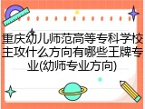 重庆幼儿师范高等专科学校主攻什么方向有哪些王牌专业(幼师专业方向)