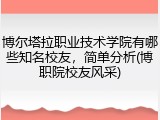 博尔塔拉职业技术学院有哪些知名校友，简单分析(博职院校友风采)