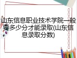 山东信息职业技术学院一般要多少分才能录取(山东信息录取分数)