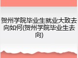 贺州学院毕业生就业大致去向如何(贺州学院毕业生去向)