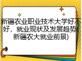 新疆农业职业技术大学好不好，就业现状及发展趋势(新疆农大就业前景)