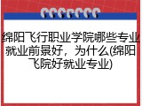 绵阳飞行职业学院哪些专业就业前景好，为什么(绵阳飞院好就业专业)