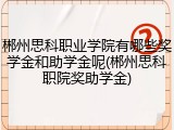 郴州思科职业学院有哪些奖学金和助学金呢(郴州思科职院奖助学金)