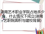 湖南艺术职业学院占地多少亩，什么情况下成立(湖南艺职院面积与建校背景)